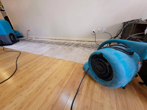 Reliable Basement Flood Cleanup contractor in Brea, CA by Hirex Water Damage