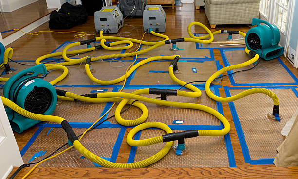 Professional Basement Flood Cleanup technician working in Brea, CA